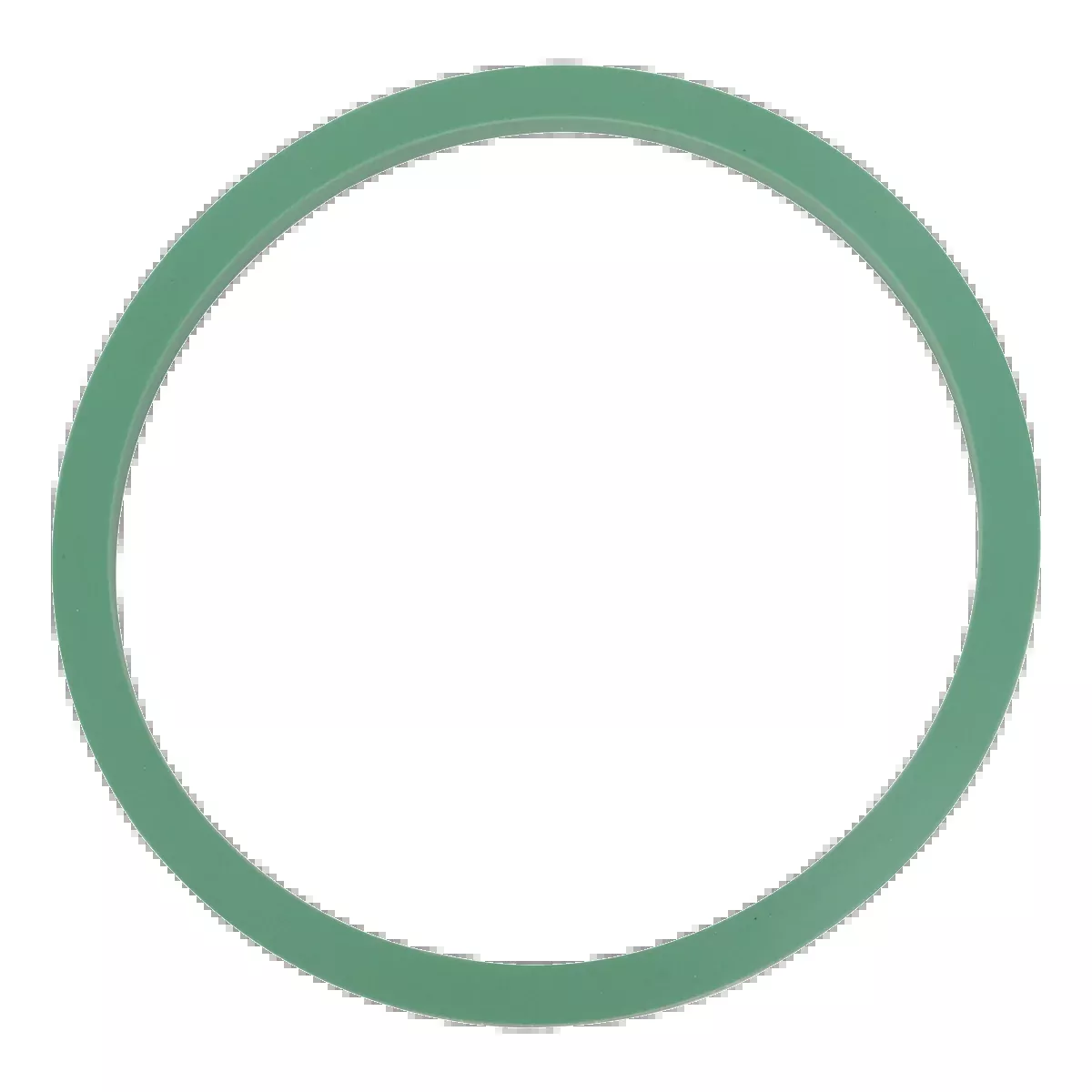 Door Gasket (Tuttnauer 2340, EZ9)