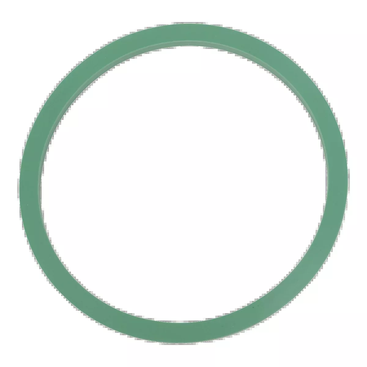 Door Gasket (Tuttnauer 2540, EZ10)