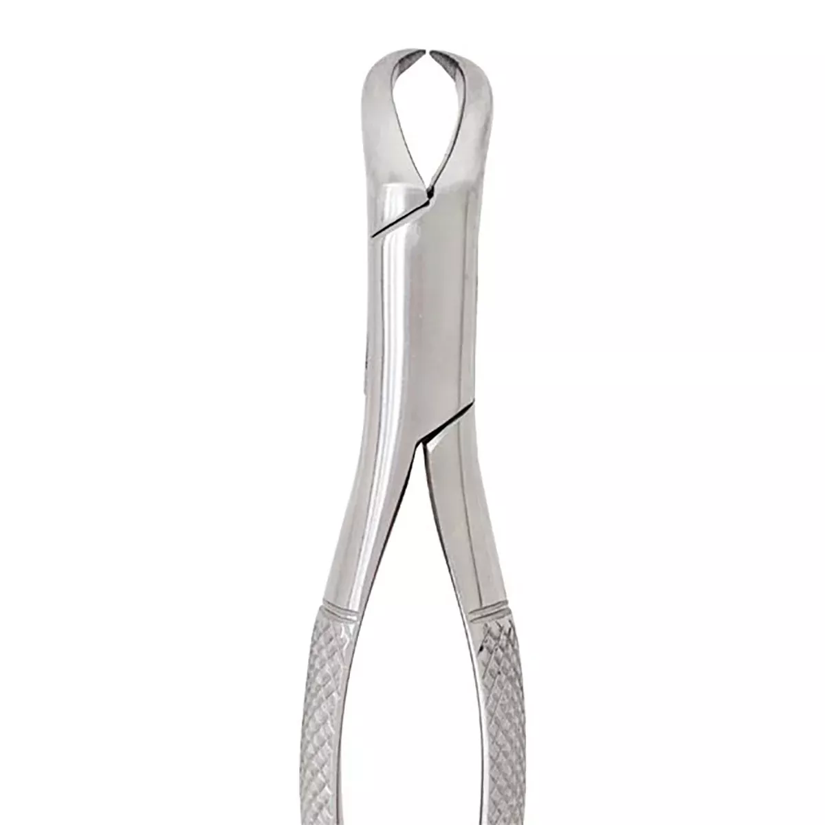 Extracting Forceps #23 Lower Cowhorn